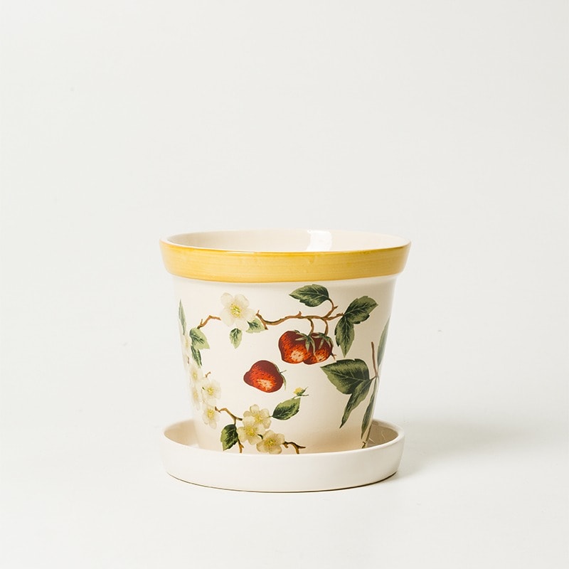 Vaso Médio Com Prato Fresh Garden