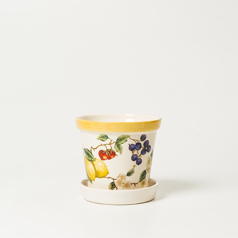 Vaso Pequeno Com Prato Fresh Garden